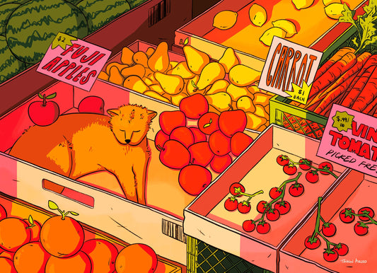 SUNNY DAYS | AUGUST 2025 - FROM THE ARCHIVE