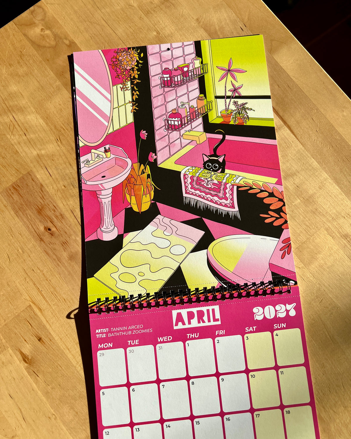 PREORDER ONLY | THE 2027 CAT CALENDAR