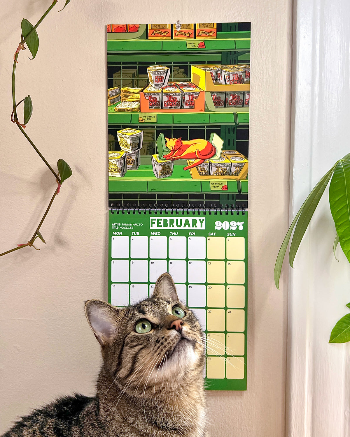 PREORDER ONLY | THE 2027 CAT CALENDAR